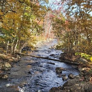 Meet your Posher, Pamela